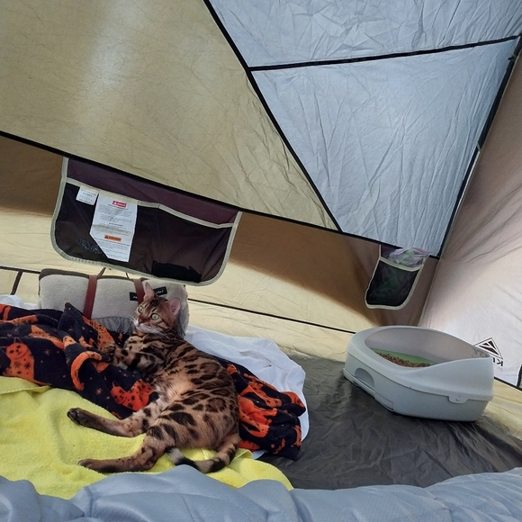 Clothes, Shoes , Randoms... - Picture 4 of 4